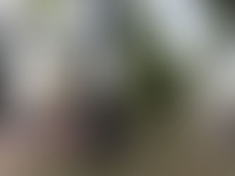Comunicado para la comunidad de slackline, telas, circo y la opinión pública. Octubre 6 de 2022