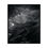 Thumbnail: "The Dragon" Prints