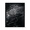 Thumbnail: "The Dragon" Prints