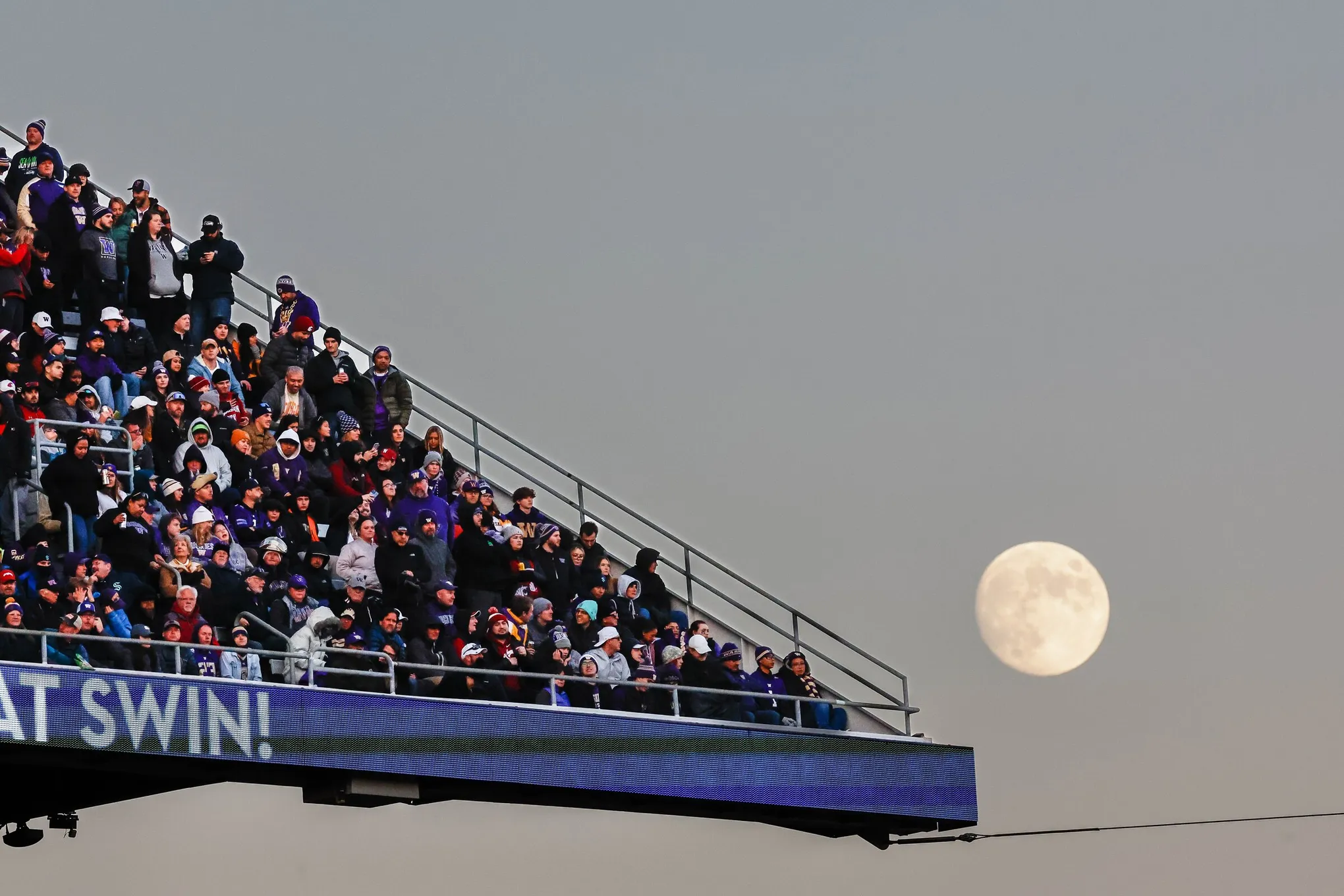 stadio e luna seattle.webp