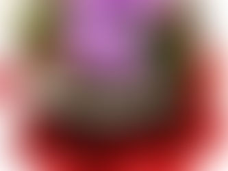 PAN DI SPAGNA AL CIOCCOLATO