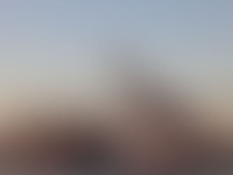 ESCLUSIVO: GRU-SPIE NEI PORTI?