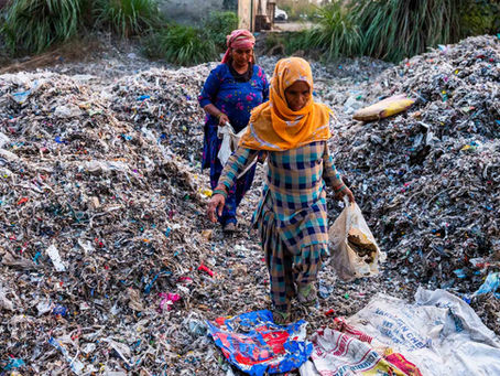 L'INDIA, AMAZON E LE SUE BUSTE DI PLASTICA