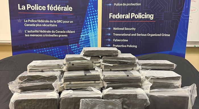 Calgary resident charged with attempted drug importation