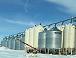 Rail, port shutdowns carry massive cost for farmers