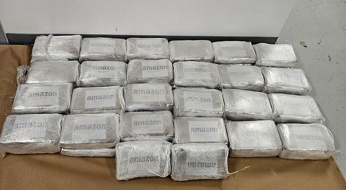 Edmonton resident charged with drug importation