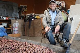 More spuds than anyone can count