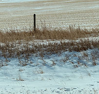 Dry winter raises spring moisture concerns on Prairies