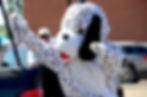 Stettler Pet Valu float in the Stettler Canada Day parade July 1. Rural Alberta Report/S. Salkeld