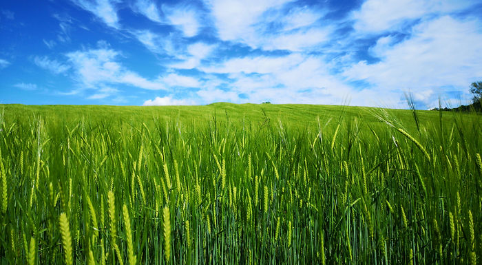 Multi-Municipal collaboration proposed for environmental projects