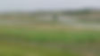 Too much rain slows Alberta fields