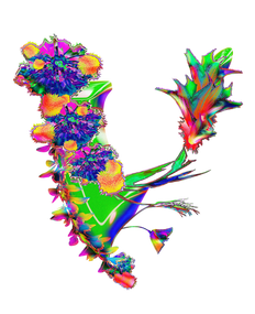 icon2.png