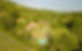 DJI_0009.jpg