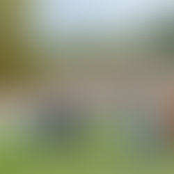 D1 : UN NUL OBTENU ENTRE OCCASIONS MANQUEES  ET IMPRECISIONS