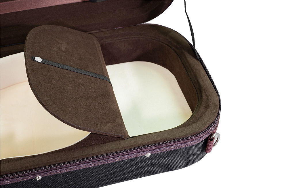 Thumbnail: Hidersine DVC1 Violin Case Pianura Oblong Case