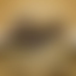 UNE ANNEE TOUTE NEUVE