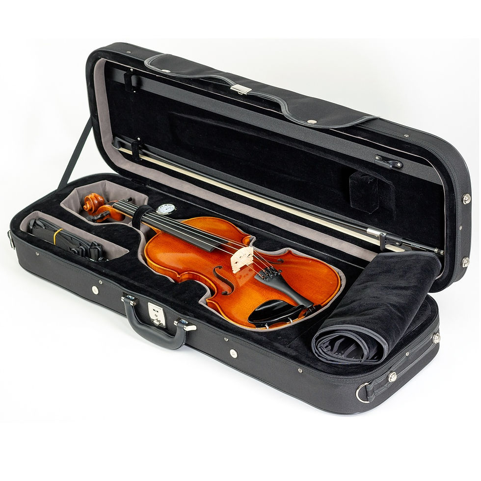 Paesold PA802E Violin Outfit