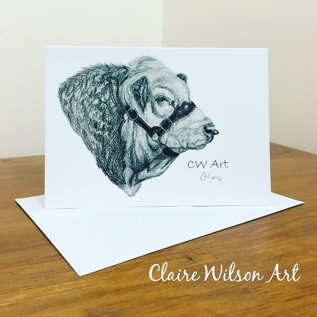 'SHILOH FREEDOM' BLANK GREETINGS CARDS