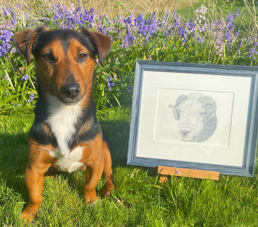 Thumbnail: ‘HENRY HERDWICK’ FRAMED MINI ORIGINAL DRAWING