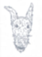 Thumbnail: Simple, One Color Pet Portrait (on cardstock)