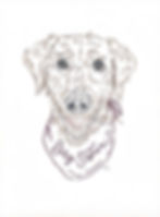 Thumbnail: Custom Pet Portrait