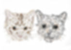 Thumbnail: Double Pet Portrait (on cardstock)
