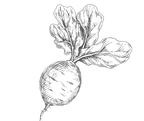 frutas marce_edited.png
