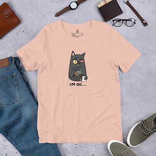 unisex-staple-t-shirt-heather-prism-peach-front-688cedaeb8105.jpg