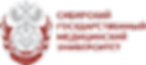 logo (2).png
