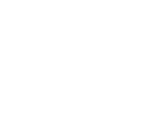 Ballonfahrten Pfau aus Rudersberg mit dem BayWa Ballon Wieslauftal Rems Murr Kreis Welzheimer Wald Remstal Baden Württemberg