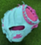 Catchers Mitt - Amelia Vibez