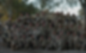 Picture1.png