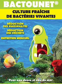 Bactounet_edited.jpg