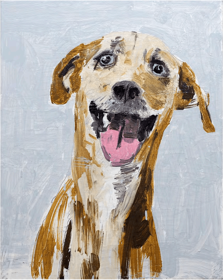 Happy Guy, 2018