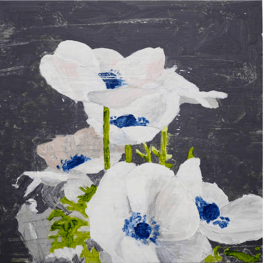 Anemone, 2018