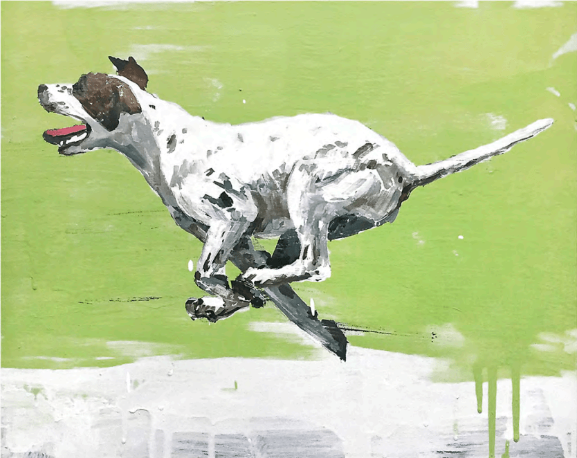 Flying, 2017