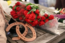 Tulipaner og hesteskoer