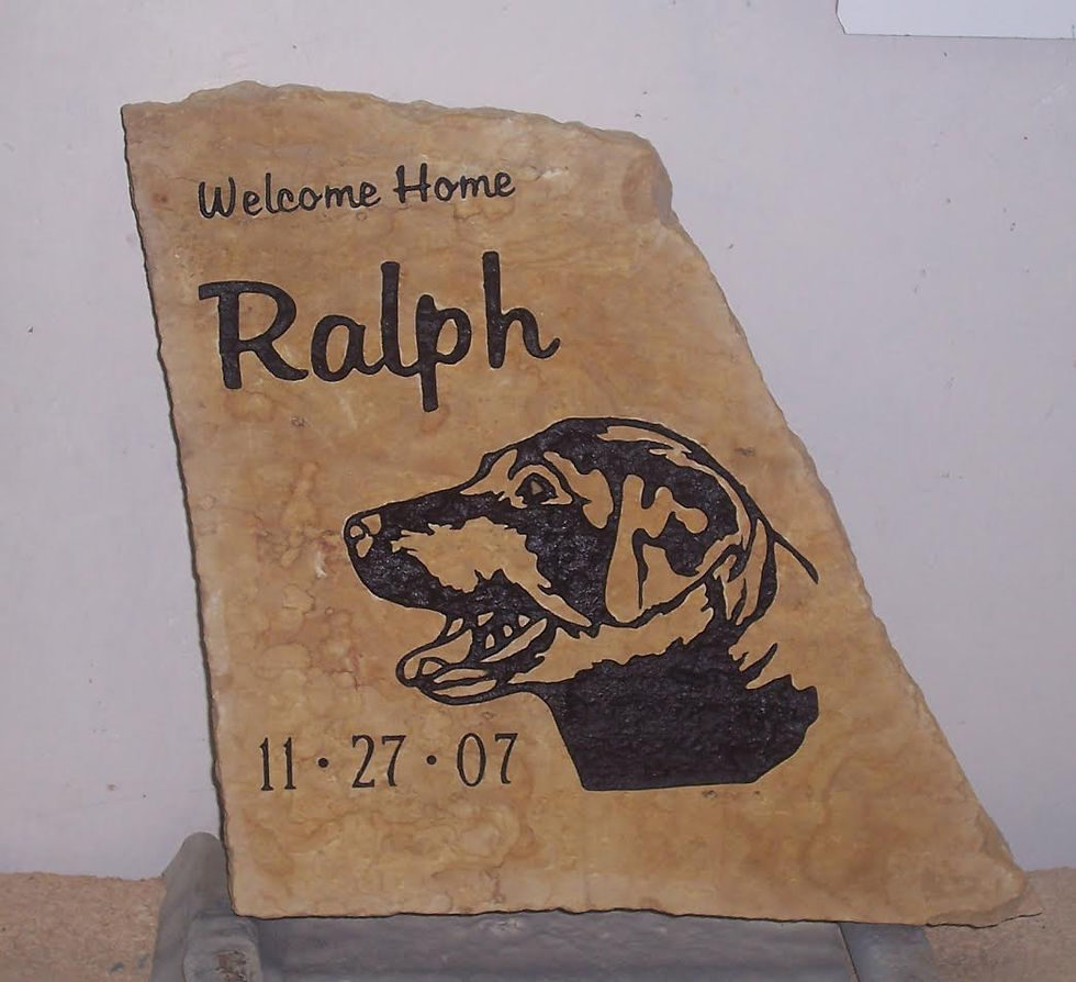Ralph - Dog