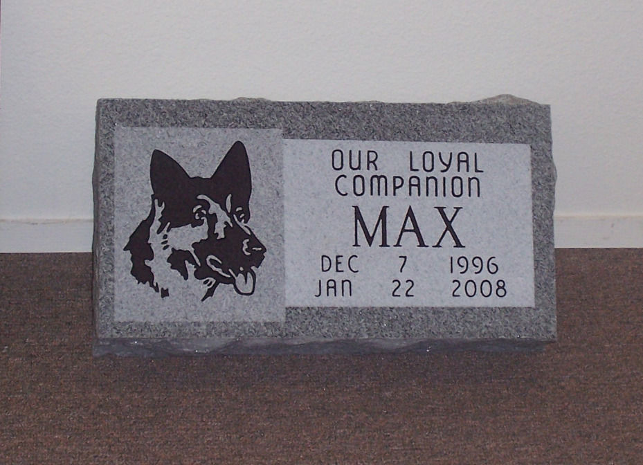 max_dog