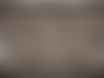 Preserving Glasgow's Historic Stone Buildings: A Restoration Portfolio