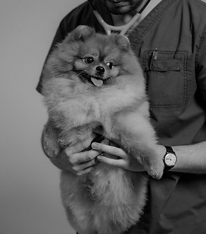 pexels-tima-miroshnichenko-6235647.jpg