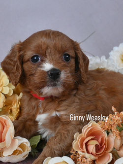 20250726_224004171_iOS