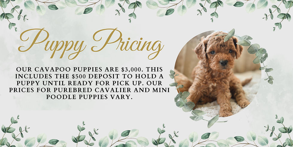 Puppy pricing.jpg