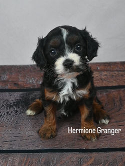 20250726_224004037_iOS