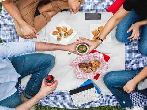 PICNIC -  ST VITAL PARK