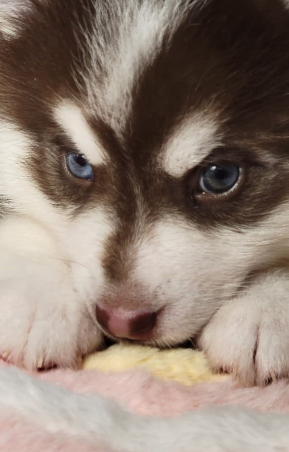 Luca, 4 lbs, 2oz, pic on 7/2/22