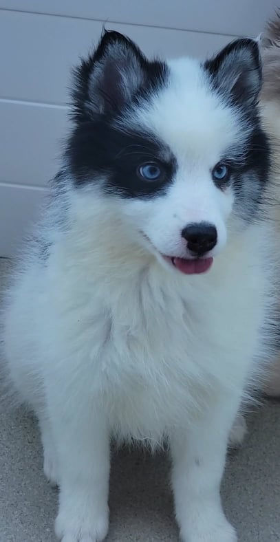 Kami, pic on 8-16-22