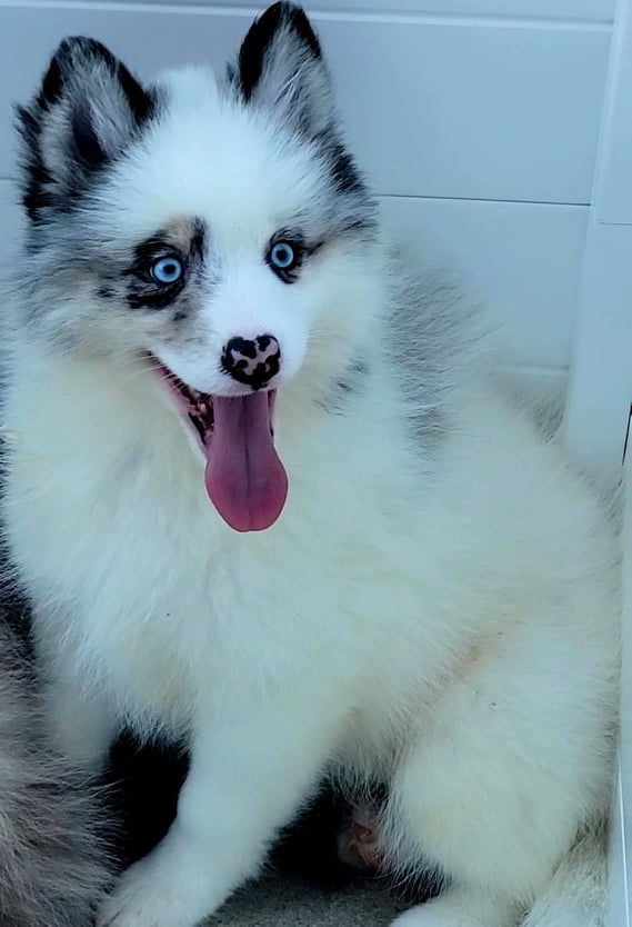 Keno, pic on 8-16-22