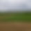 Miniature : Rouleau de tourbe