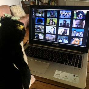 Scène de la vie confidienne  - #17